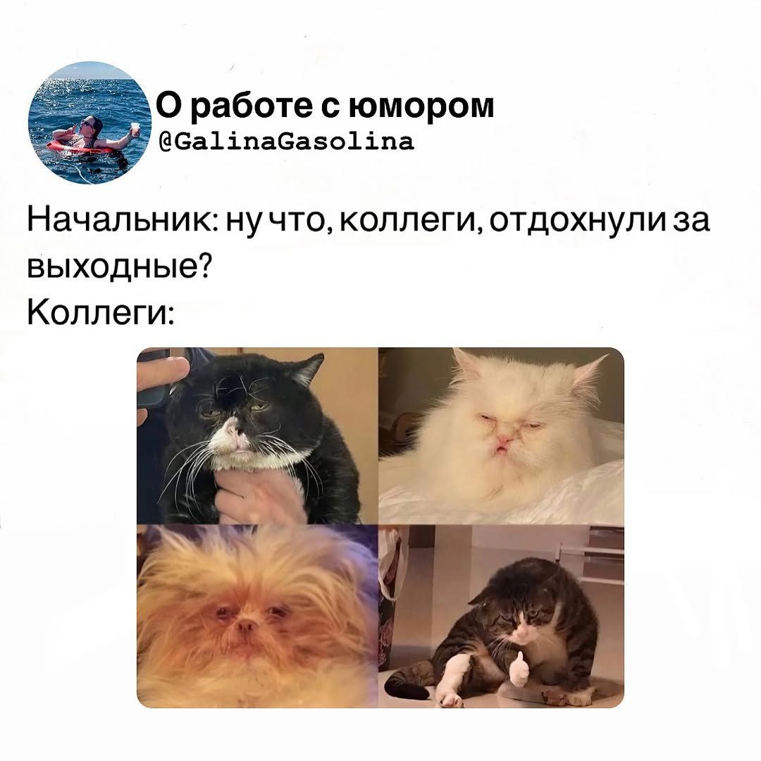 Привет, труженики! 🐝
Начинаем новую рабочую неделю! Рассказывайте, как прошли ваши выходные? | Сетка — социальная сеть от hh.ru