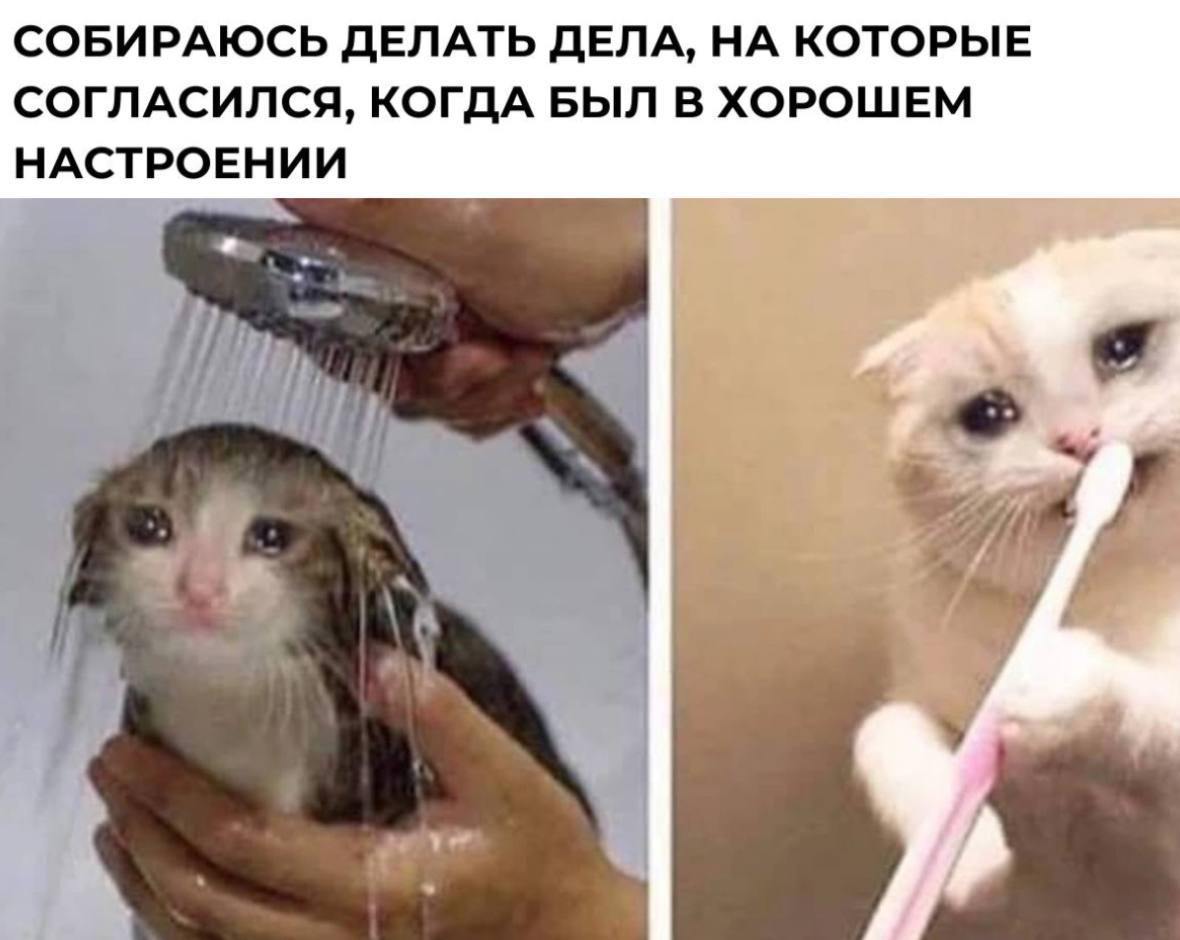 Делись в комментариях своим любимым мемом прошлой недели. 
#понирупор #мемврупор | Сетка — социальная сеть от hh.ru