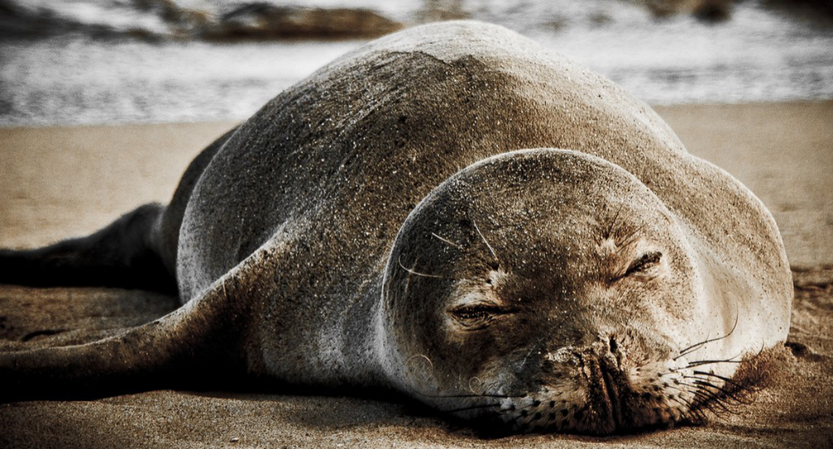 Как быть продуктивным не только на работе | Сетка — социальная сеть от hh.ru