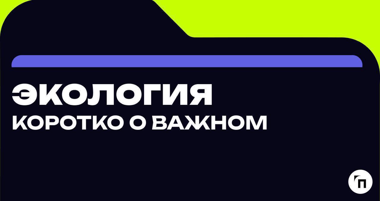 Новости экологии. Коротко о важном
🔸84,9 млрд руб. — ущерб экологии в Керченском проливеОкончание 2024 года была испорчено крушением двух танкеров смазутом в Керченском проливе | Сетка — социальная сеть от hh.ru