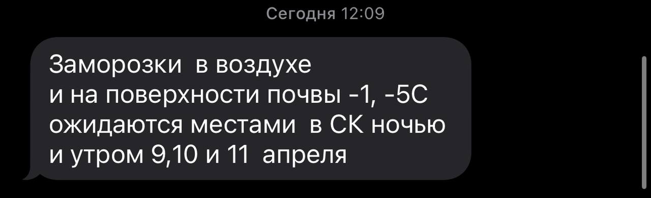 ⚡️На Ставрополье 9, 10 и 11 апреля ожидаются заморозки | Сетка — социальная сеть от hh.ru