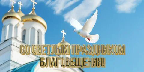 Любимые мои подписчики! | Сетка — социальная сеть от hh.ru