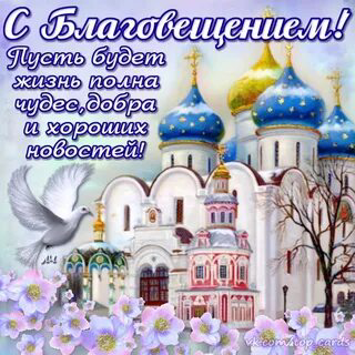 Любимые мои подписчики! | Сетка — социальная сеть от hh.ru