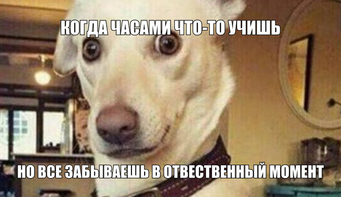 Просьбы о материале | Сетка — социальная сеть от hh.ru