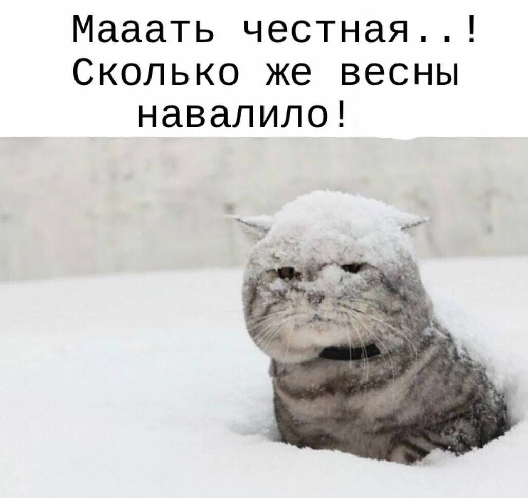 Шашлыки под снегом или Как форс-мажоры влияют на Лиды | Сетка — социальная сеть от hh.ru
