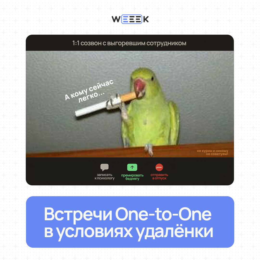 Пст, поговорить надо | Сетка — социальная сеть от hh.ru