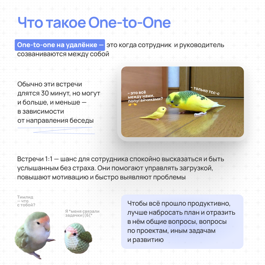Пст, поговорить надо | Сетка — социальная сеть от hh.ru