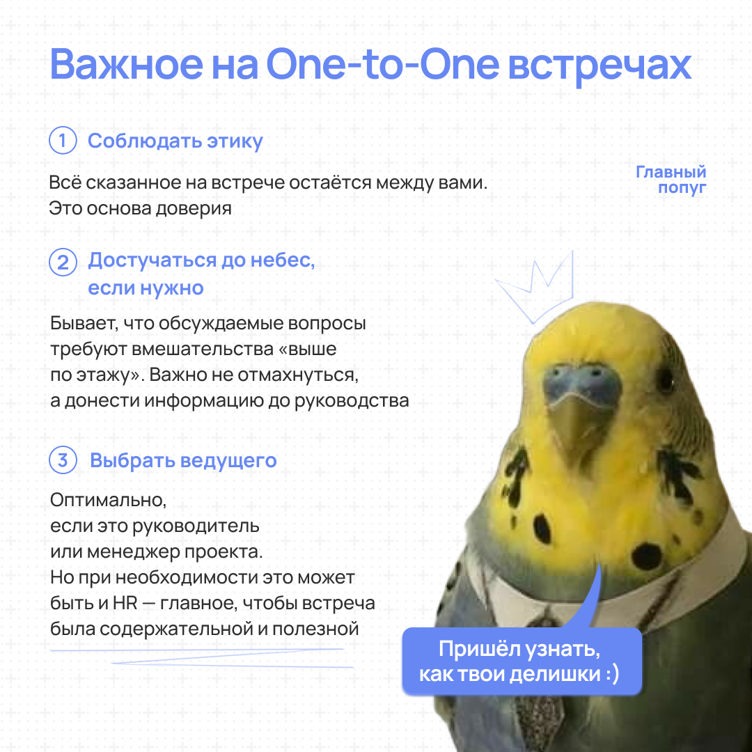Пст, поговорить надо | Сетка — социальная сеть от hh.ru