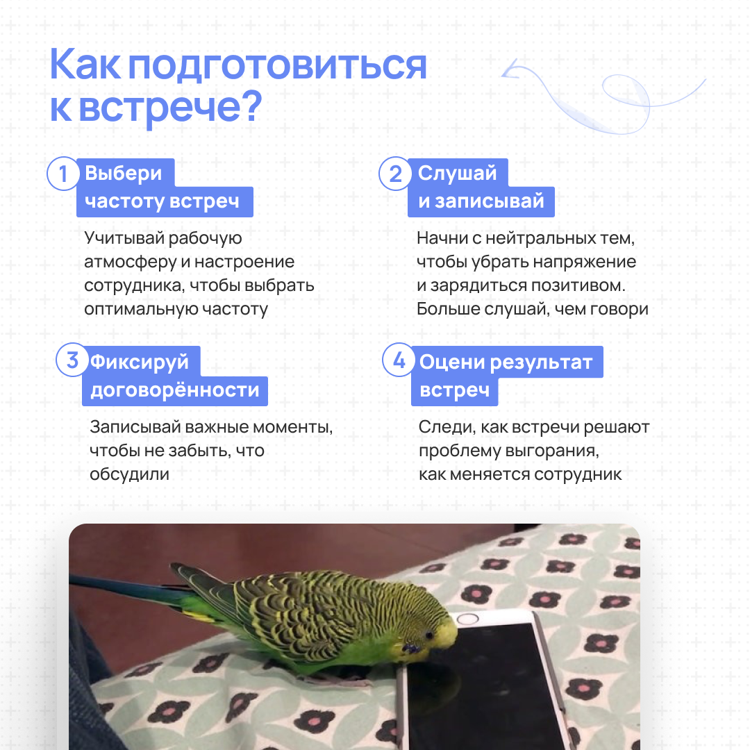 Пст, поговорить надо | Сетка — социальная сеть от hh.ru