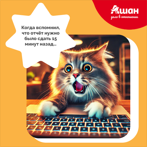 Ничто так не радует на работе, как те самые моменты, которые заставляют забыть о делах и просто улыбнуться! 😸 | Сетка — социальная сеть от hh.ru