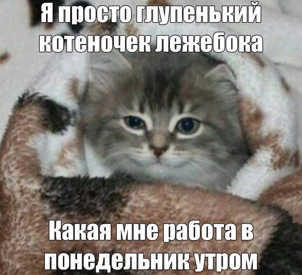 настроение понедельника | Сетка — социальная сеть от hh.ru