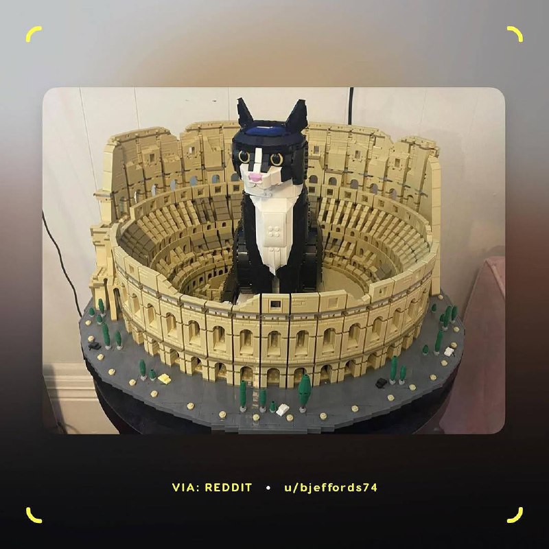 Милота, у котов по всему миру новая фишка — им очень нравятся LEGO в виде римского Колизея. Хвостатые используют собранный из 9 тысяч деталей конструктор в качестве… лежанки | Сетка — социальная сеть от hh.ru