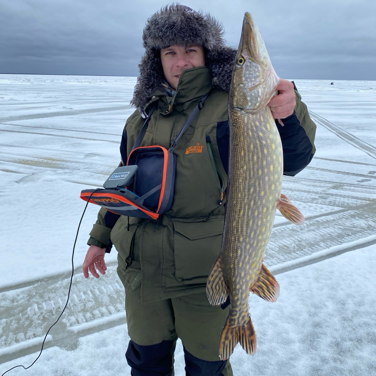 Денис Никитин | Сетка — социальная сеть от hh.ru