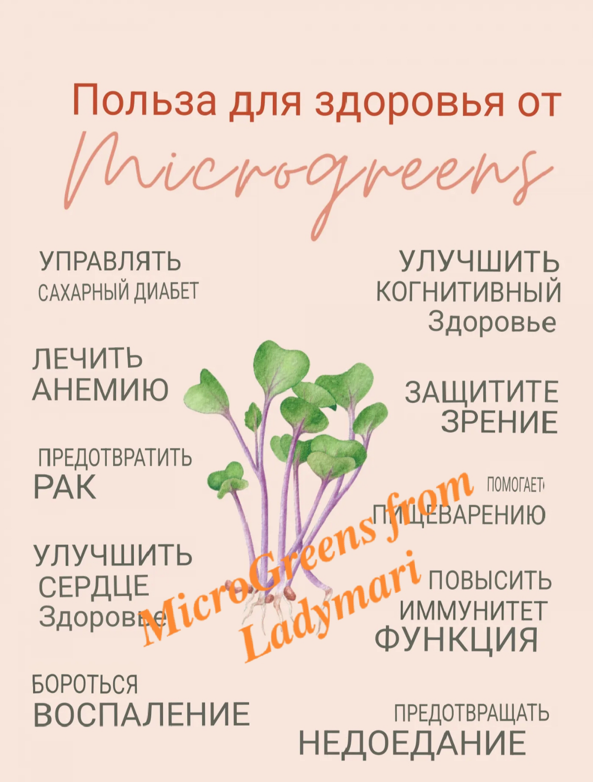 ❇️ПРЕИМУЩЕСТВА МИКРОЗЕЛЁНЫХ РАСТЕНИЙ | Сетка — социальная сеть от hh.ru