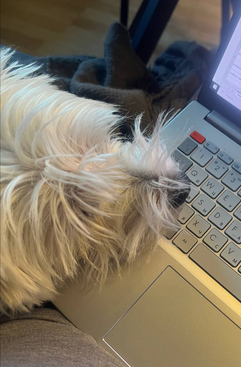 Почему выгорание стало таким модным в 2025?
В 2025 году выгорание — это не просто модная фишка, а почти новый тренд! Почему? Давайте разбираться | Сетка — социальная сеть от hh.ru