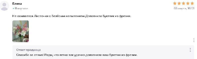 Отзывы говорят сами за себя!
Наши растения на Wildberries — в тренде и пользуются большим спросом!
Каждый день мы получаем тёплые слова от покупателей:
📶 Хвалят качество
🌿 Отмечают натуральный внешний... | Сетка — социальная сеть от hh.ru