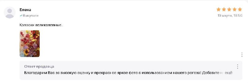 Отзывы говорят сами за себя!
Наши растения на Wildberries — в тренде и пользуются большим спросом!
Каждый день мы получаем тёплые слова от покупателей:
📶 Хвалят качество
🌿 Отмечают натуральный внешний... | Сетка — социальная сеть от hh.ru