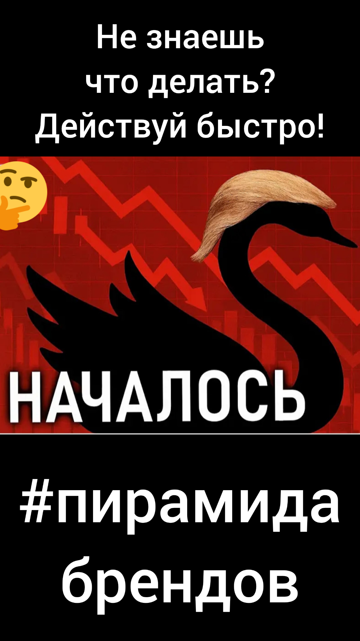 🔥Чёрный Лебедь Д. Трамп!🤦 | Сетка — социальная сеть от hh.ru