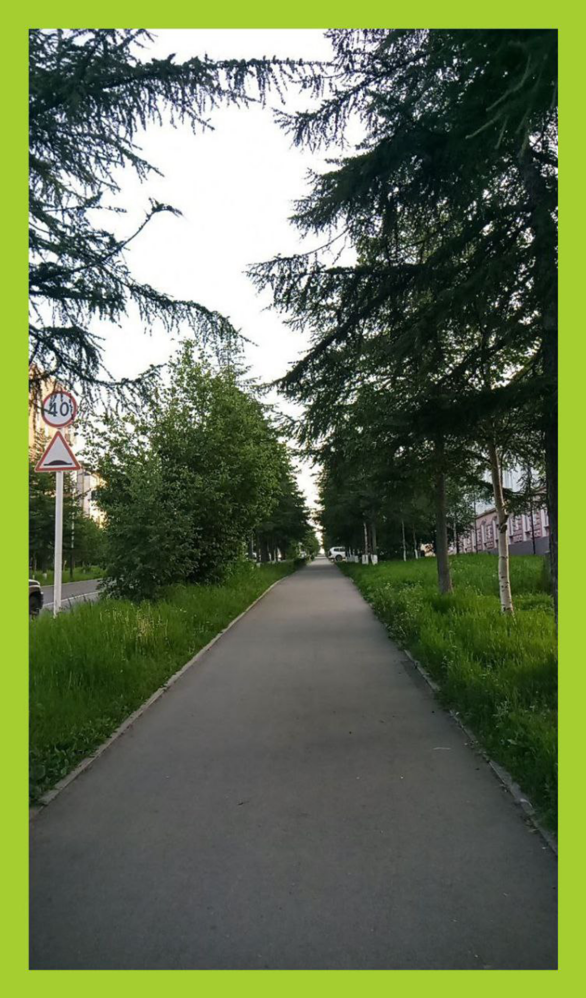 Зелени в ленту! / Let the outbound information flow be green for a while! | Сетка — социальная сеть от hh.ru