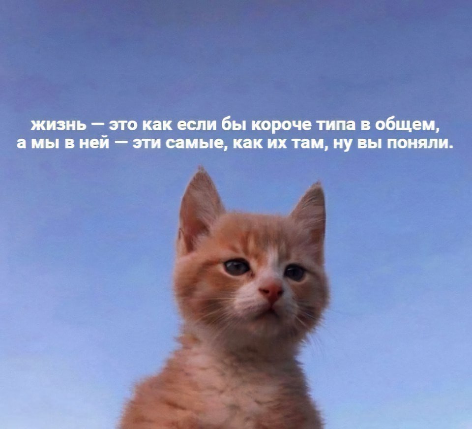 Утренняя подборочка | Сетка — социальная сеть от hh.ru