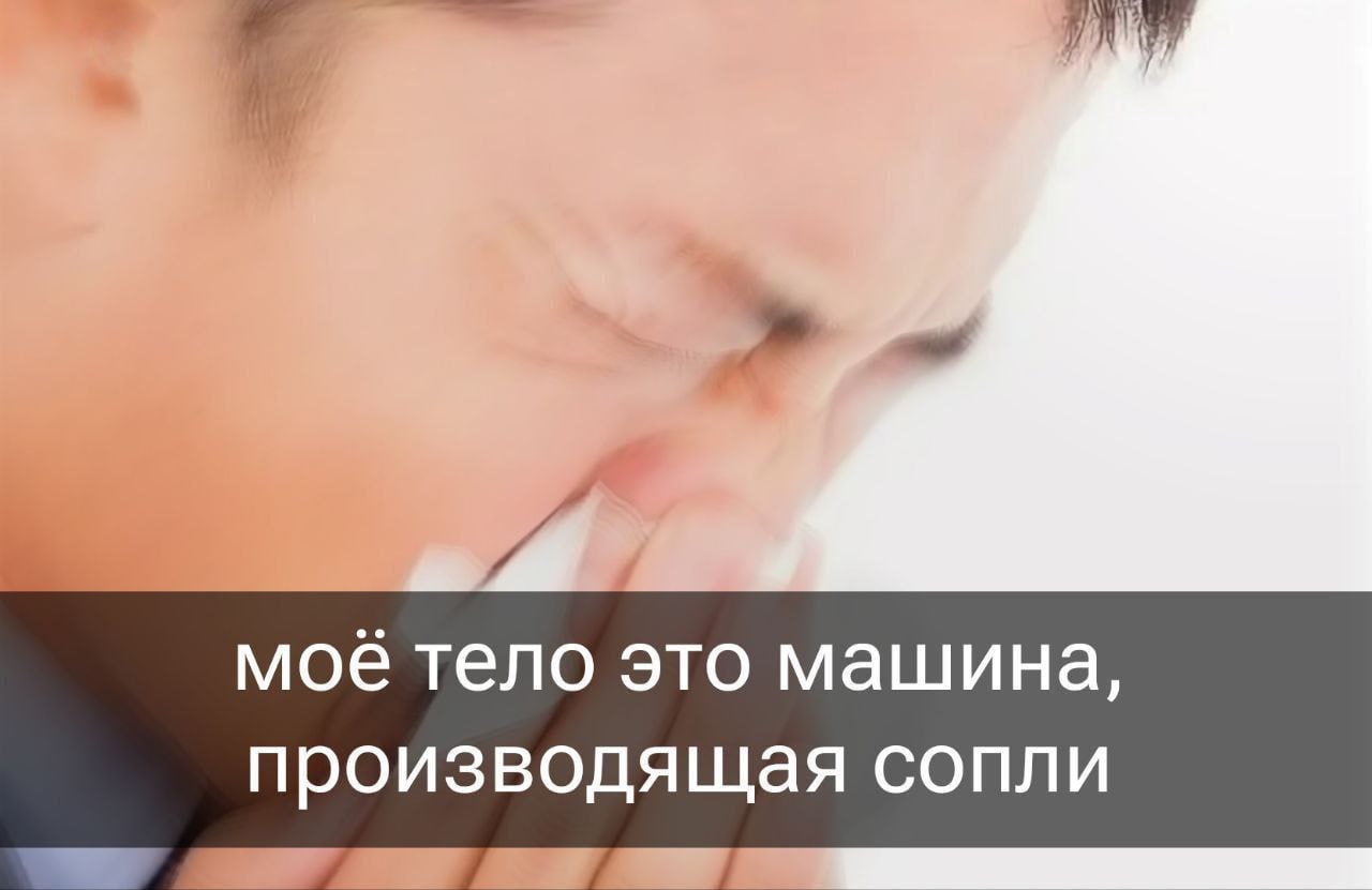 Утренняя подборочка | Сетка — социальная сеть от hh.ru
