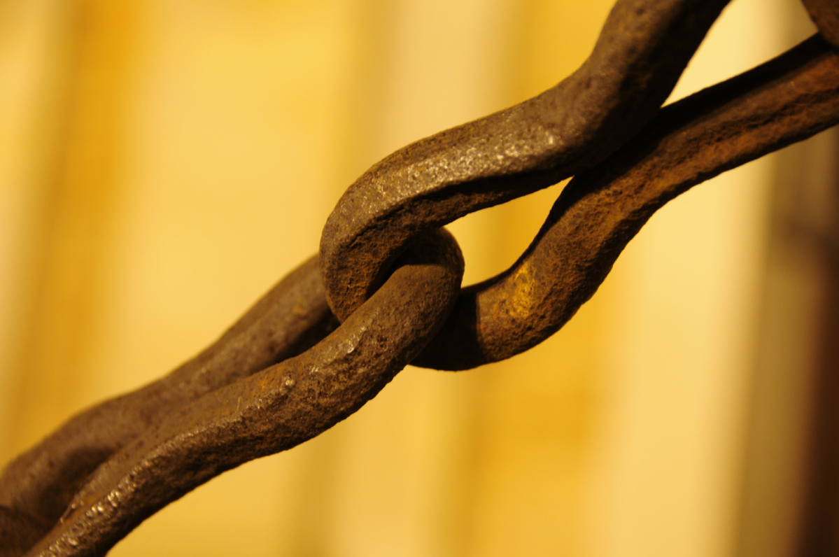 Желуди в воде: уникальность причинно-следственных связей | Сетка — социальная сеть от hh.ru