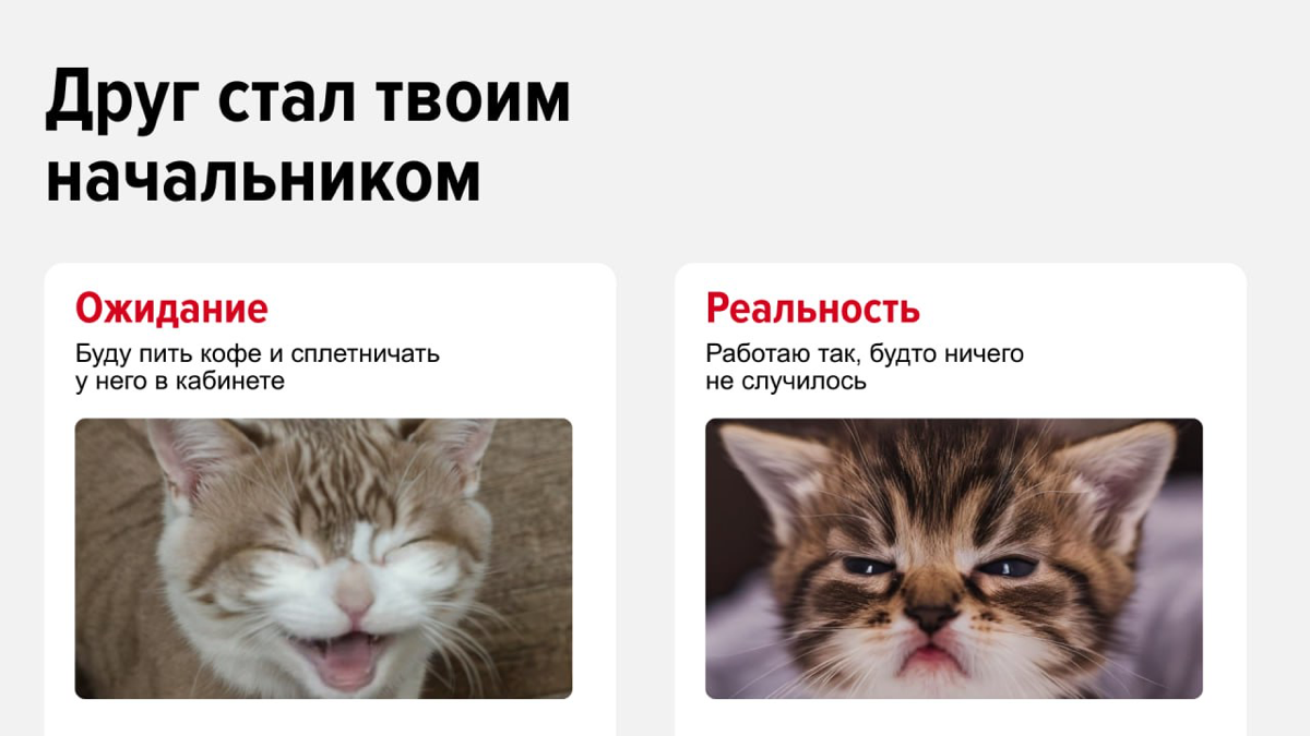 Друзья ➡️ Друллеги
Дружба на работе — частая практика. Почти 50% россиян находят в команде людей, с которыми они готовы видеться и в свободное время | Сетка — социальная сеть от hh.ru