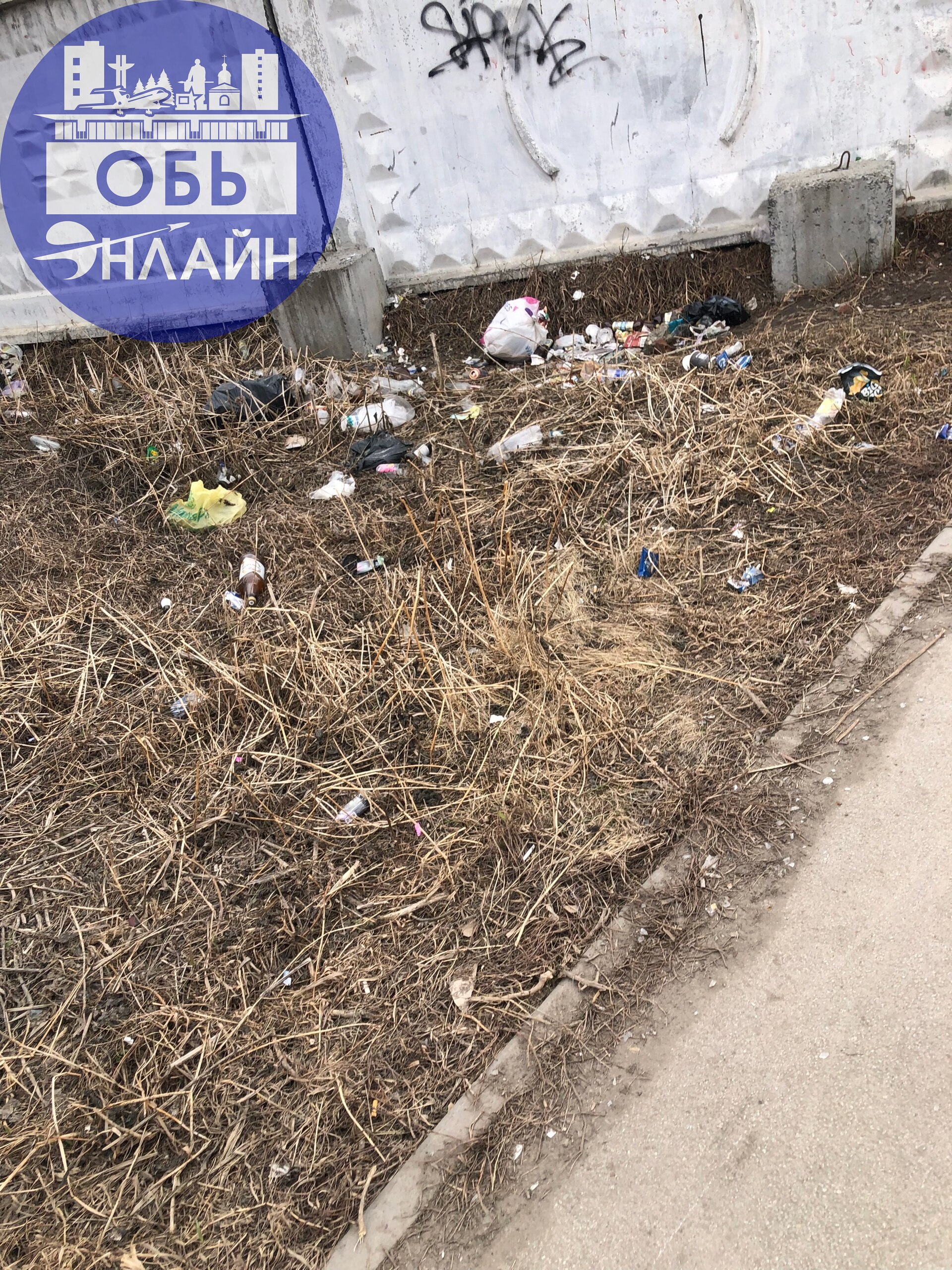↗ Тропа от октябрьской до Линейной отдельный вид красоты.
Все расстояние покрыто стеклом разбитым. А по флангам - те, кого «не разбить».
vk.com
Подробнее на https://vk.com/ob | Сетка — социальная сеть от hh.ru