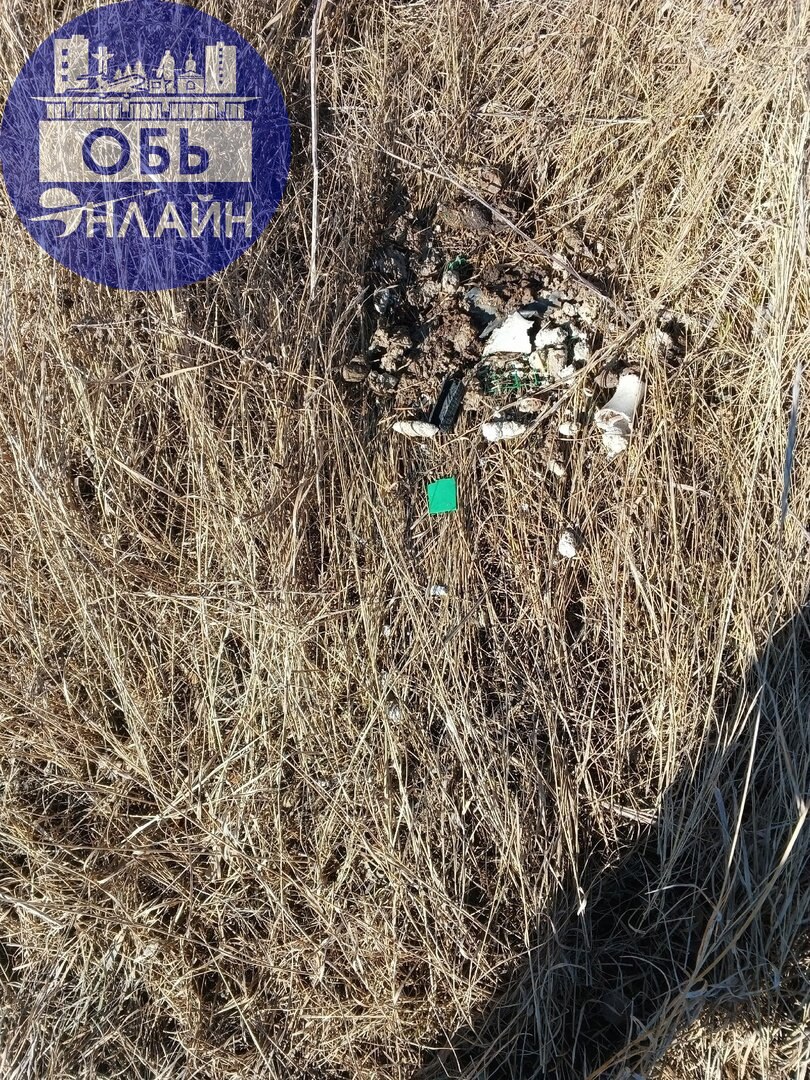 ↗ В городе Обь на обочине улицы Геодезической, напротив дома 89/2 появилась новая несанкционированная свалка из бытового мусора, битых кирпичей,и штукатурки, вывезены несколько тележек экскрементов со... | Сетка — социальная сеть от hh.ru