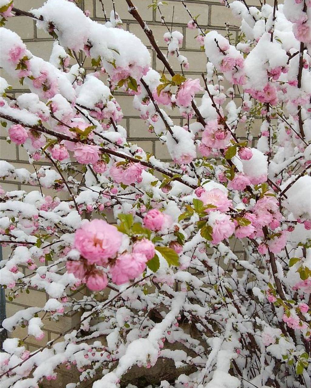 🌺 ❄️Зима в Ставрополе: «Так, я не договорила» | Сетка — социальная сеть от hh.ru