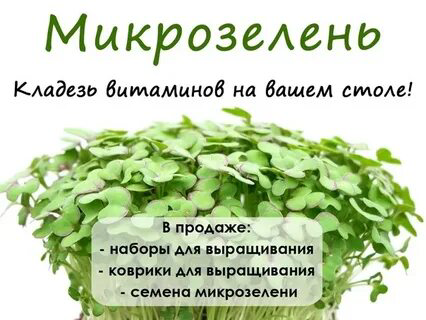 🌾КАКАЯ МИКРОЗЕЛЕНЬ ЛУЧШЕ? РАССМОТРИМ НЕСКОЛЬКО ВИДОВ ПОПУЛЯРНОЙ МИКРОЗЕЛЕНИ 🔥
🧐ОТ ЧЕГО ЗАВИСИТ ВЫБОР?
Ответ на вопрос, какая микрозелень лучше, индивидуален | Сетка — социальная сеть от hh.ru