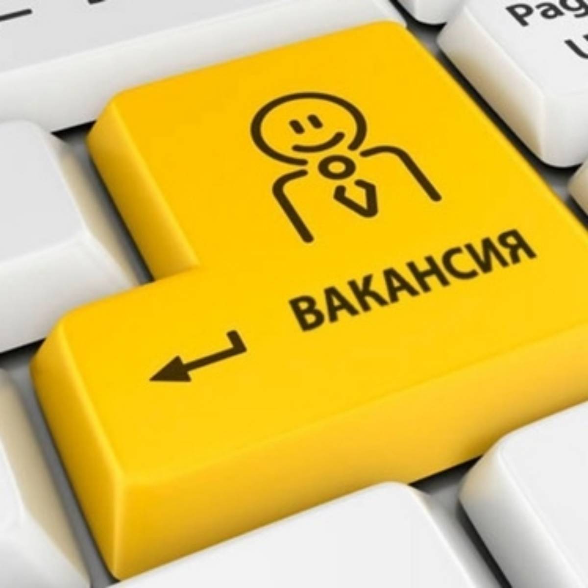 Вакансии и резюме в IT👨‍💻