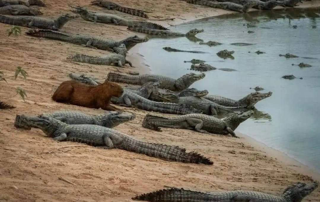 Адаптация в новом коллективе | Сетка — социальная сеть от hh.ru