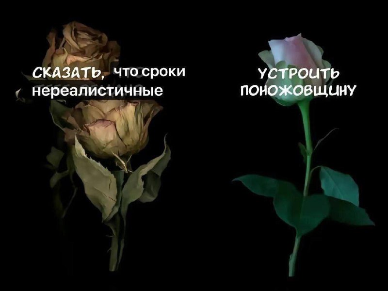 Тяжелый выбор каждый раз… | Сетка — социальная сеть от hh.ru
