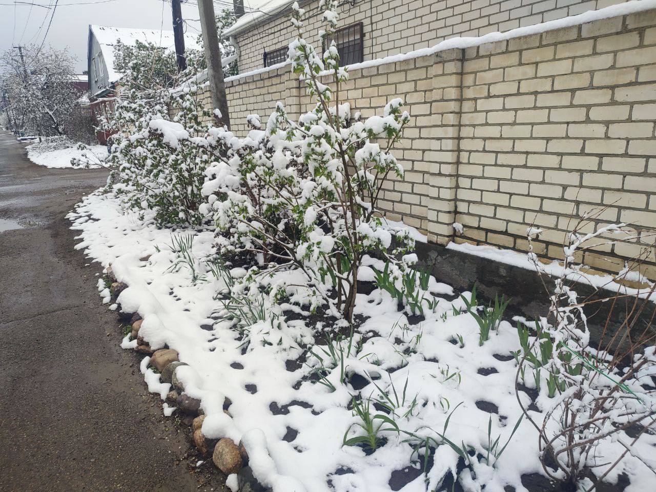 ❄️Зимний весенний Ставрополь в объективе нашего подписчика | Сетка — социальная сеть от hh.ru