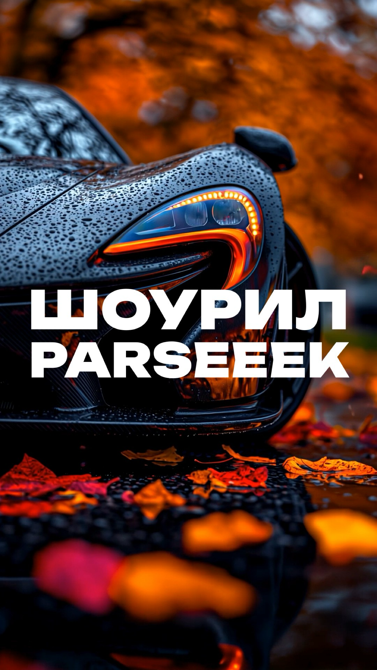 Хочешь видео, которое говорит за тебя? | Сетка — социальная сеть от hh.ru