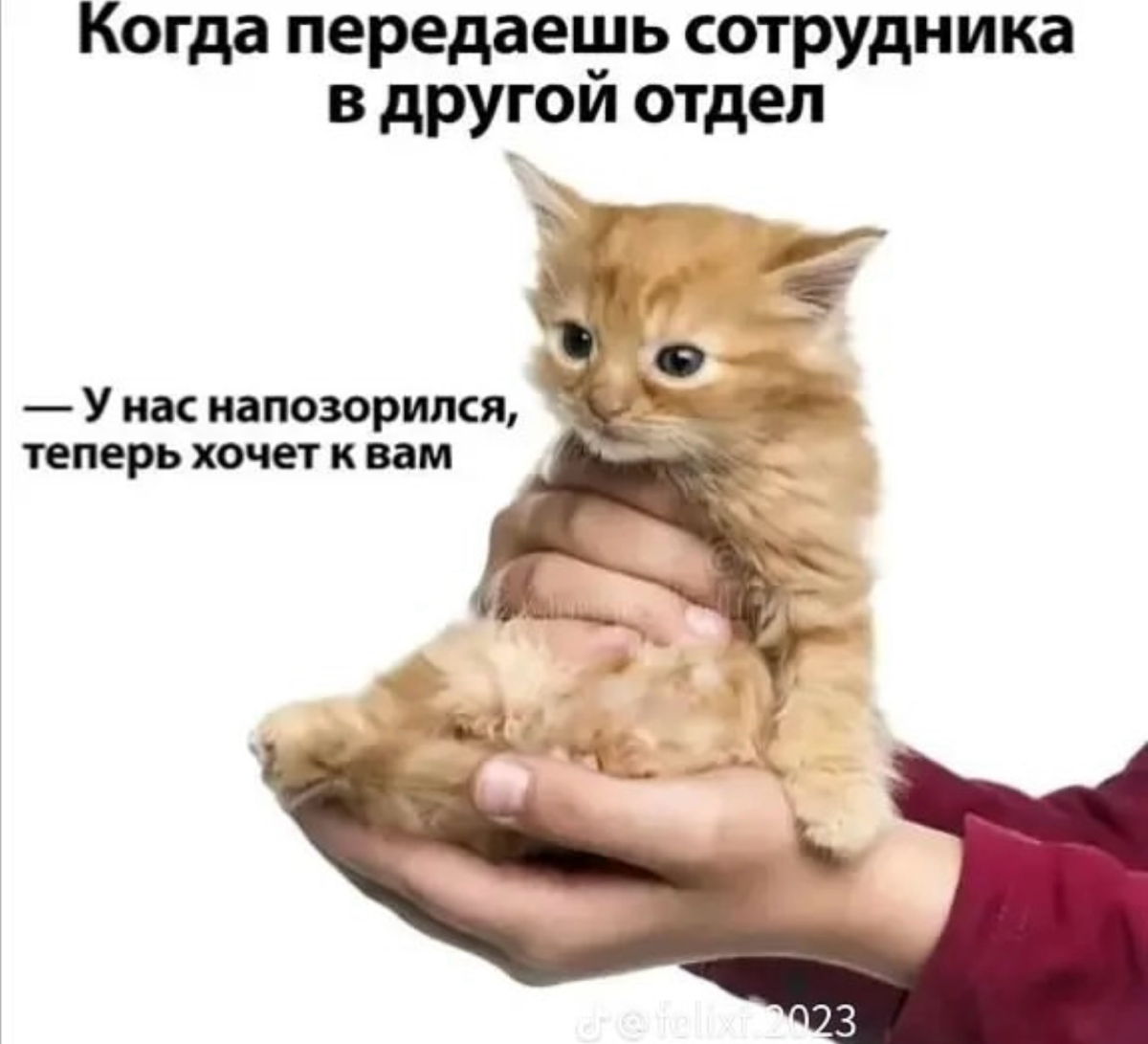 Служба поддержки - 2 часть | Сетка — социальная сеть от hh.ru