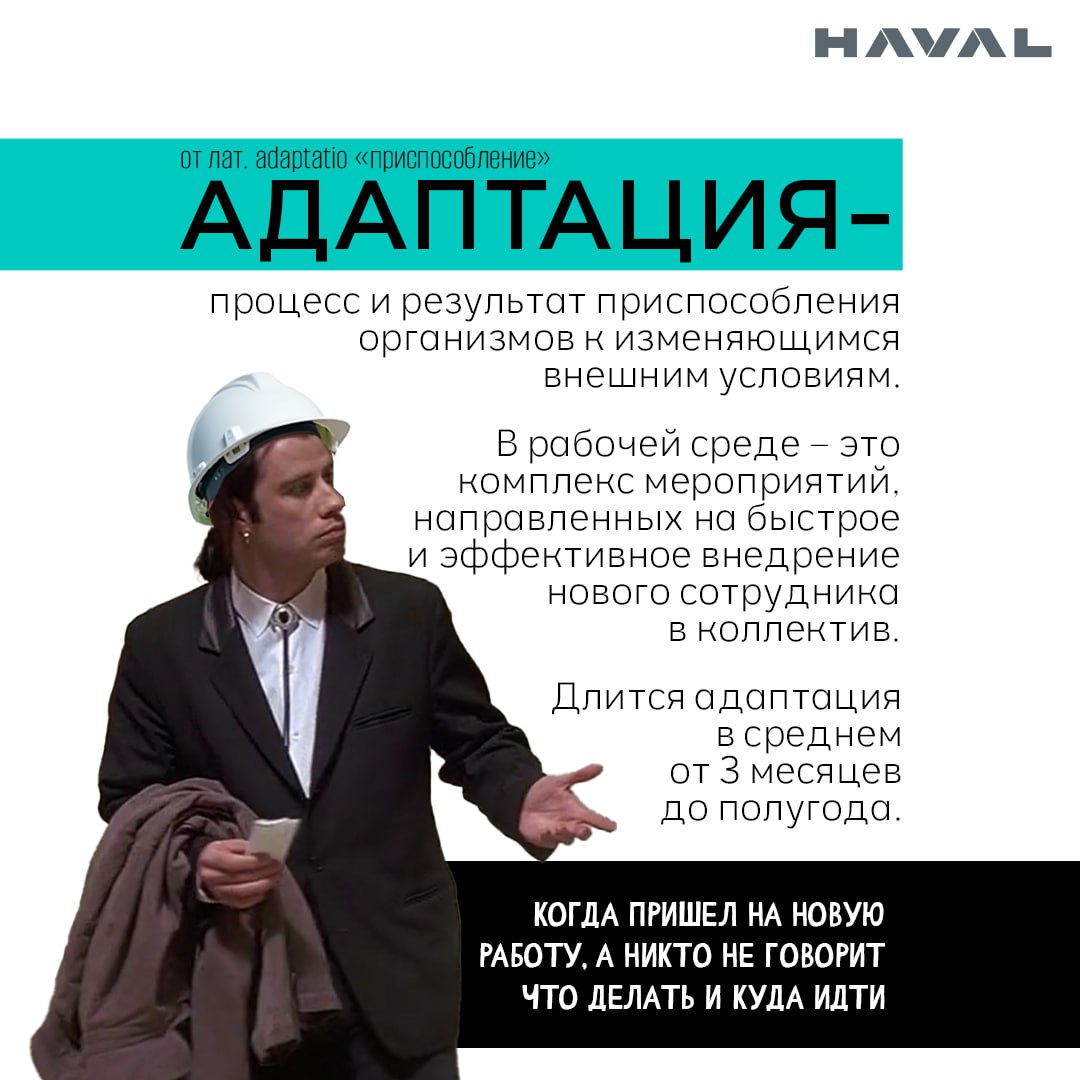🤔 От А до Я: что такое адаптация?
Все живое меняется, чтобы не просто выжить, но и комфортно существовать в окружающем мире. И значительную роль в этом играет адаптация | Сетка — социальная сеть от hh.ru