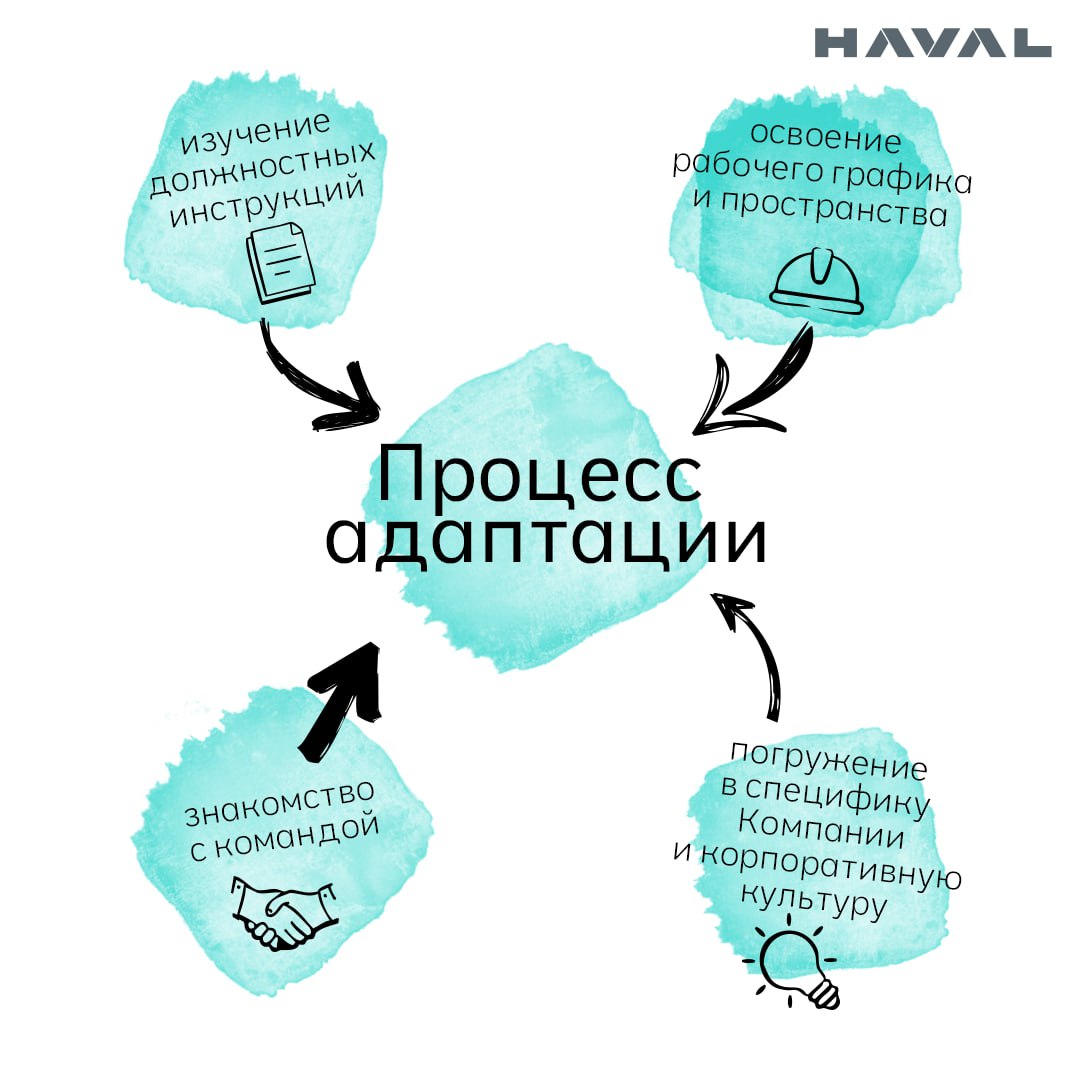 🤔 От А до Я: что такое адаптация?
Все живое меняется, чтобы не просто выжить, но и комфортно существовать в окружающем мире. И значительную роль в этом играет адаптация | Сетка — социальная сеть от hh.ru