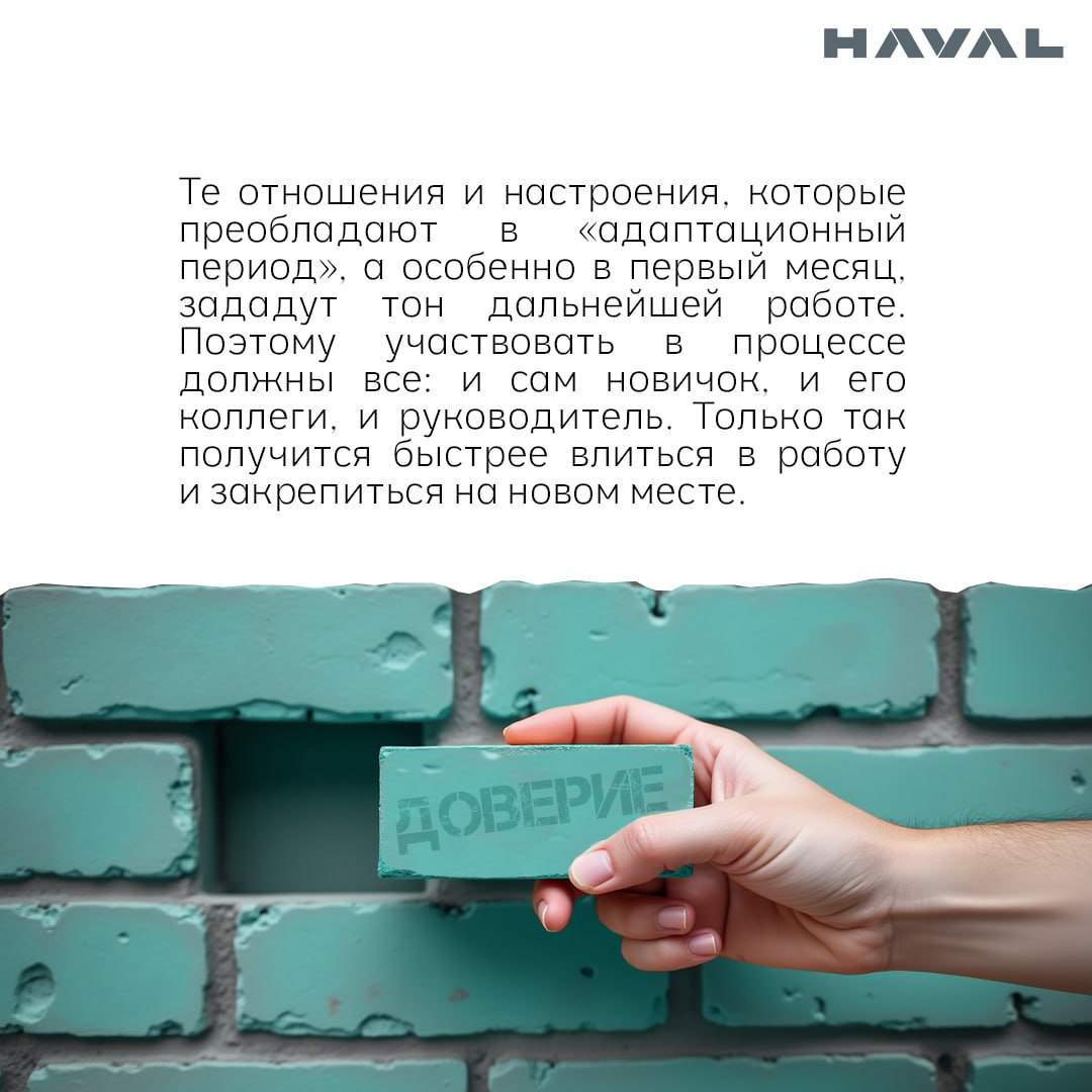 🤔 От А до Я: что такое адаптация?
Все живое меняется, чтобы не просто выжить, но и комфортно существовать в окружающем мире. И значительную роль в этом играет адаптация | Сетка — социальная сеть от hh.ru