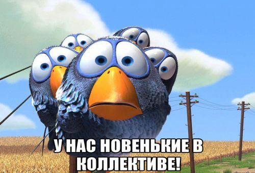 Онбординг или адаптация, простой ввод 🤖 | Сетка — социальная сеть от hh.ru