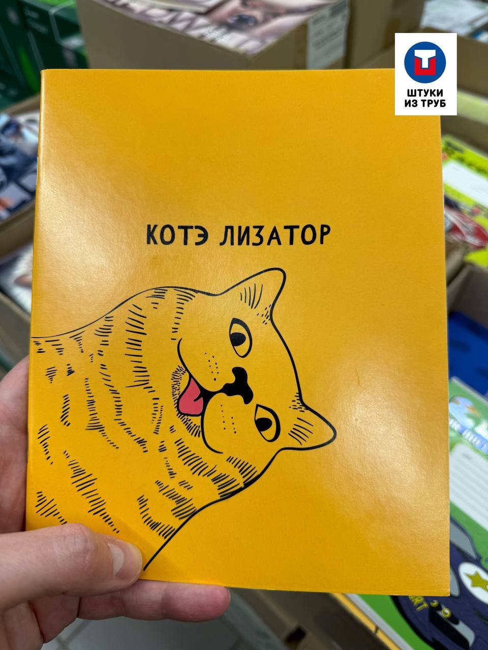 В Ашане сегодня увидел интересную тетрадку))) | Сетка — социальная сеть от hh.ru