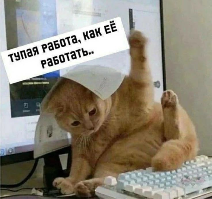 Личный чат с CEO: как обойти HR | Сетка — социальная сеть от hh.ru