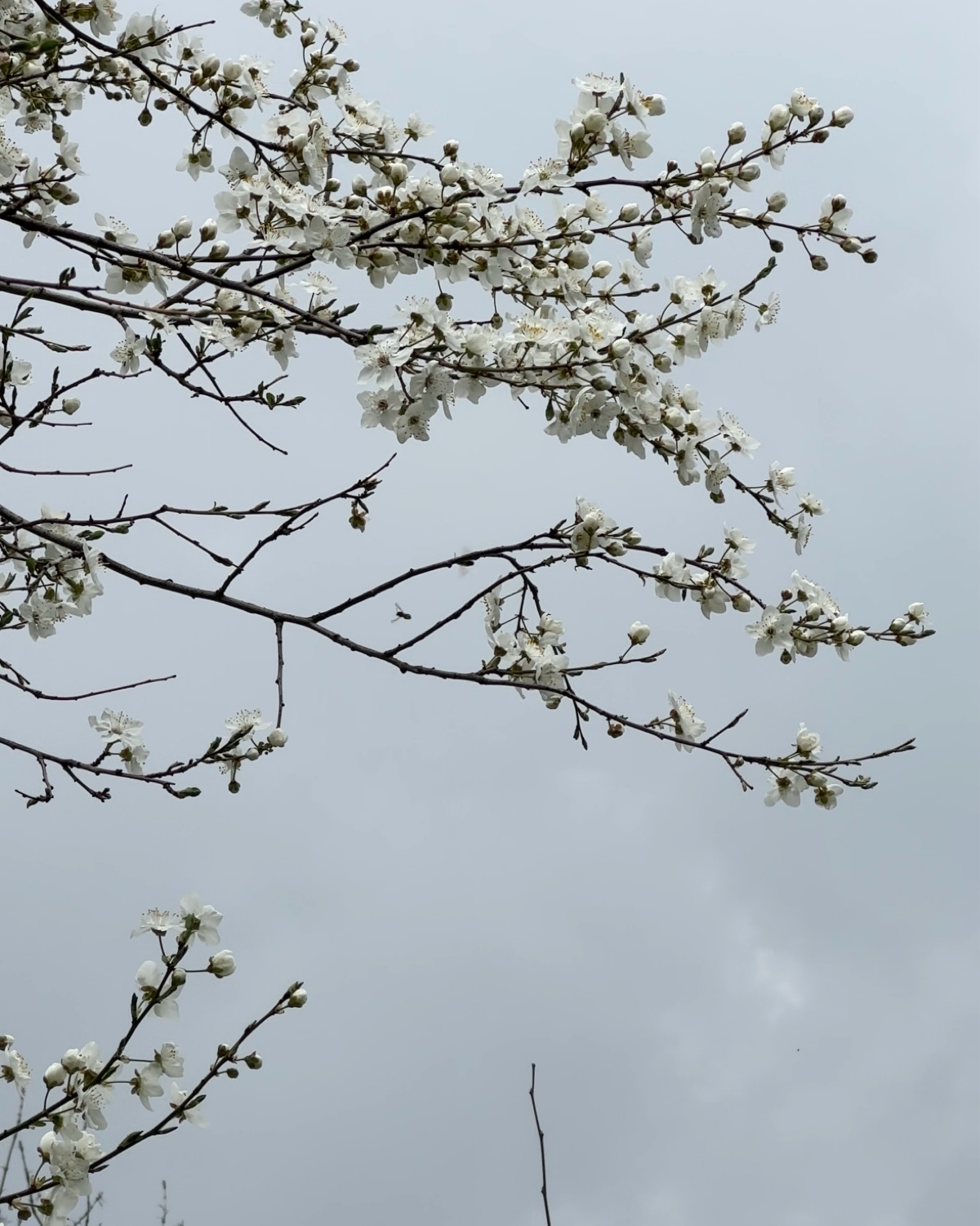 Вдохновение найдись! | Сетка — социальная сеть от hh.ru