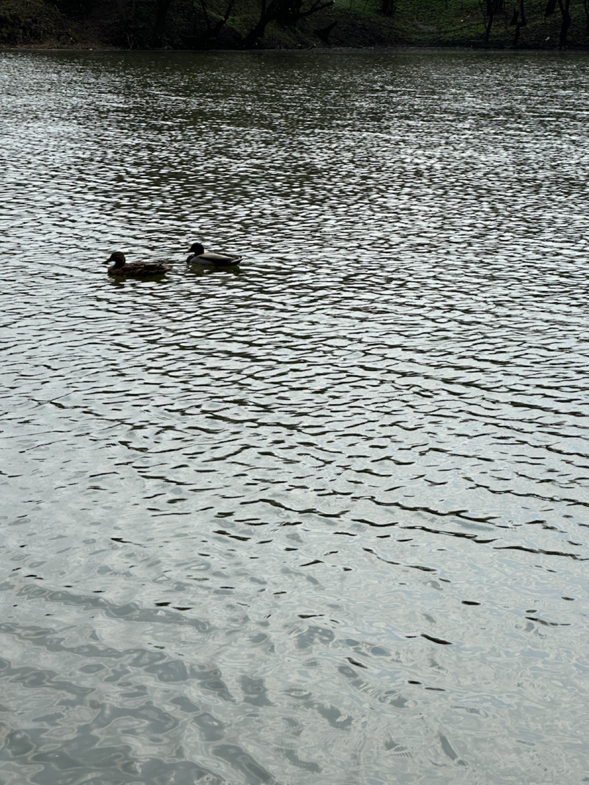 Вдохновение найдись! | Сетка — социальная сеть от hh.ru