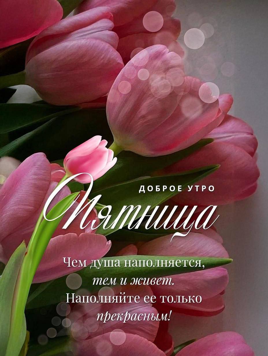 Доброе утро, ставропольцы! | Сетка — социальная сеть от hh.ru