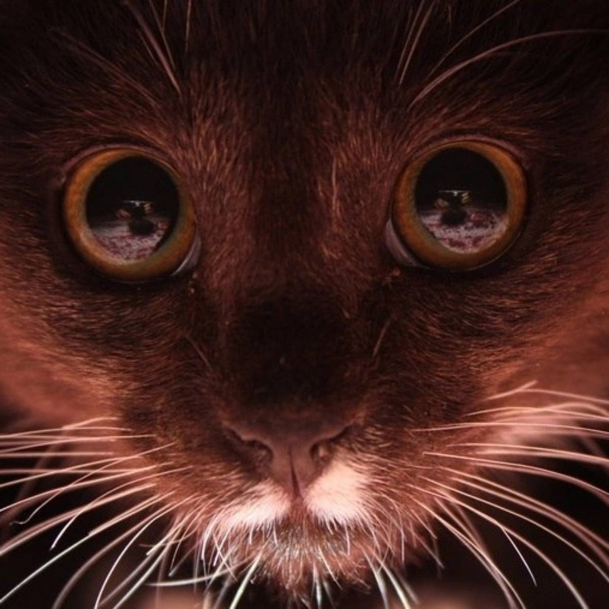 Борис Богатков | Сетка — социальная сеть от hh.ru