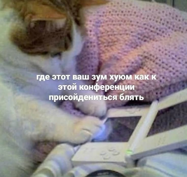 Туман апатии на удалёнке: как найти солнце за облаками | Сетка — социальная сеть от hh.ru