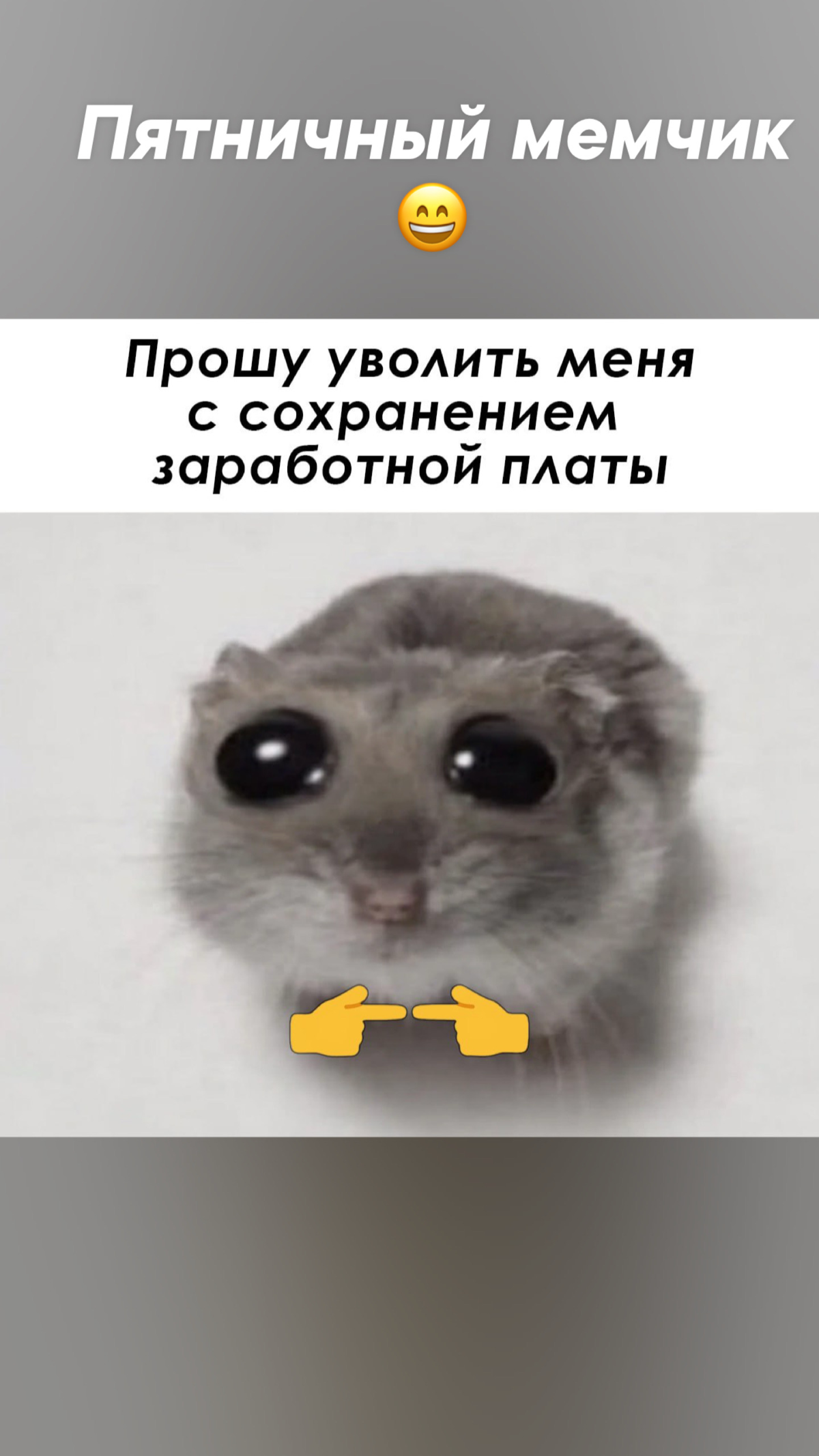 Пятничные мемчики | Сетка — социальная сеть от hh.ru
