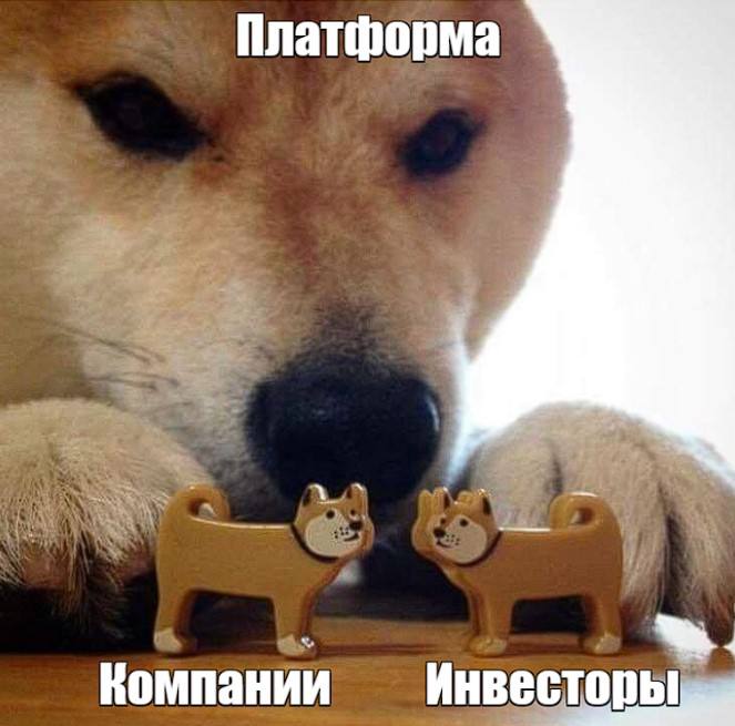 Сегодня мы к вам с масштабным юридическим гайдом о том, как подготовить свой бизнес к инвестициям | Сетка — социальная сеть от hh.ru